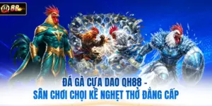 Đá Gà Cựa Dao QH88 - Sân Chơi Chọi Kê Nghẹt Thở Đẳng Cấp