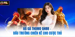 Đá Gà Thomo QH88 - Đấu Trường Chiến Kê Cho Cược Thủ